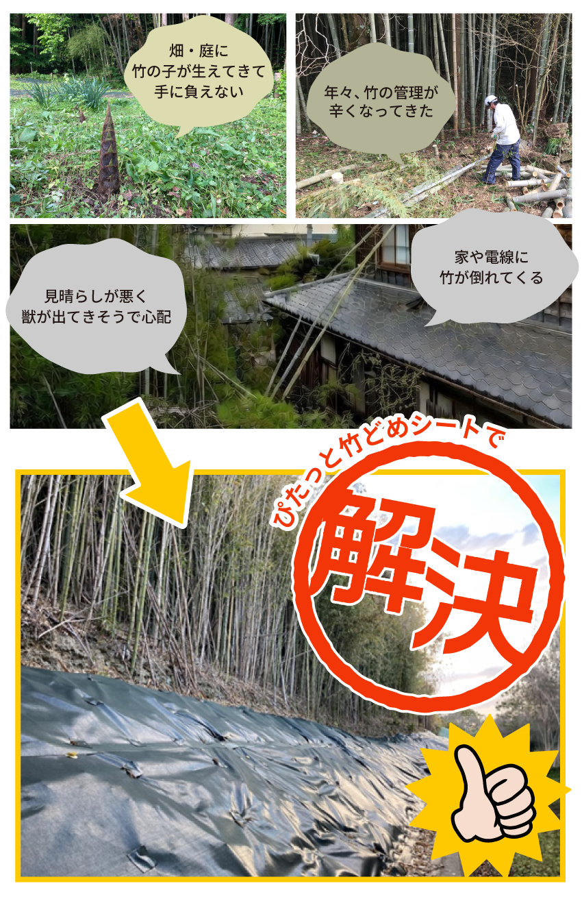 ぴたっと竹どめシートはこんな場所におすすめ2