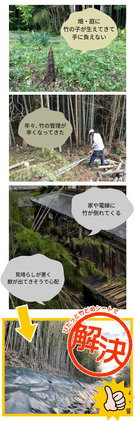 ぴたっと竹どめシートはこんな場所におすすめ2sp