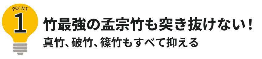 ポイント1竹最強の孟宗竹も突き抜けない