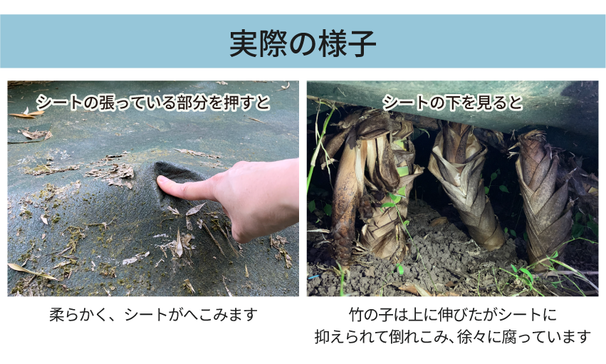 実際の様子