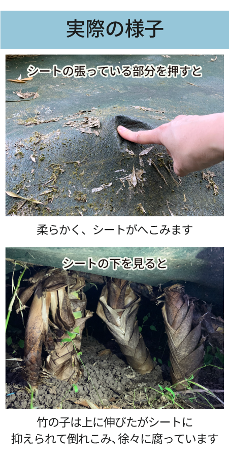 実際の様子sp