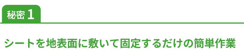 シートを地表面に敷いて固定するだけの簡単作業