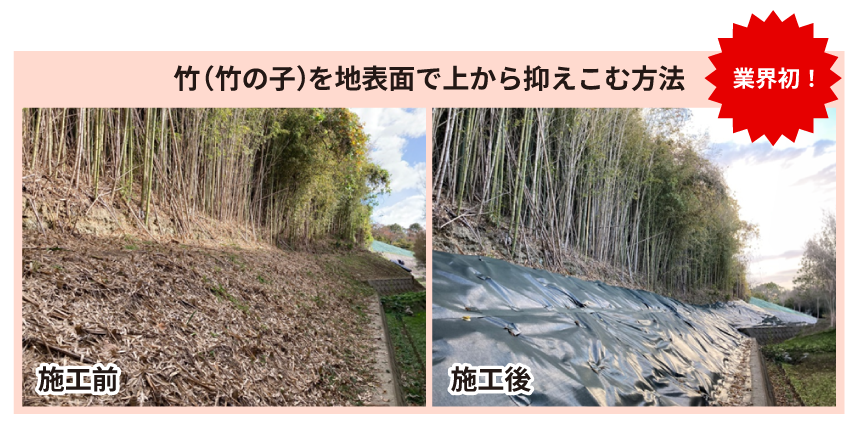 DIYで竹対策