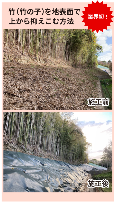 DIYで竹対策