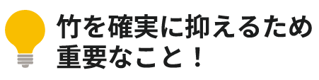 竹を確実に抑えるため重要なこと