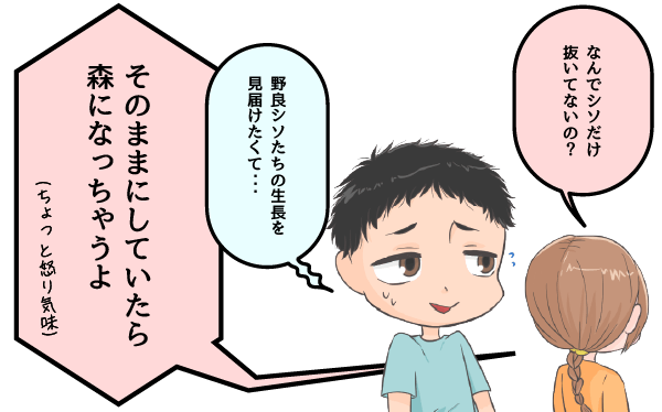 なんでシソだけ抜いてないの？
