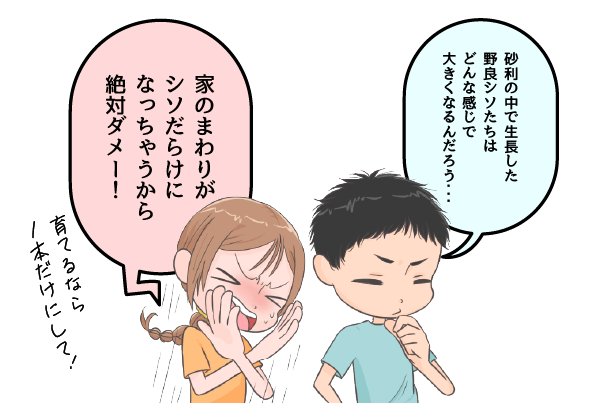 育てるなら1本だけにして
