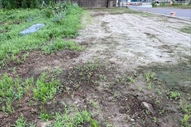 防草シート施工前