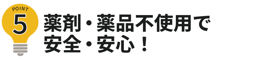 ポイント5