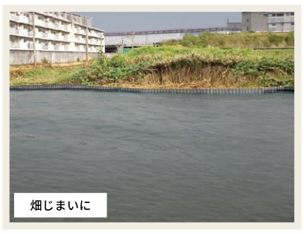 畑じまいに