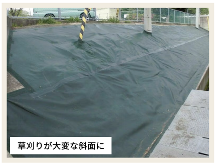 草刈が大変な斜面に