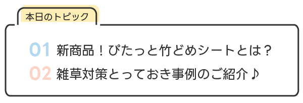 本日のトピック