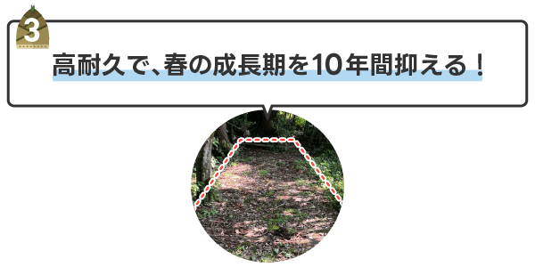 春の成長期を10年間抑える