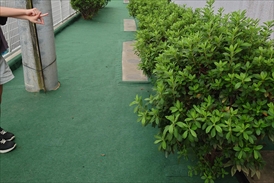 防草シート施工後