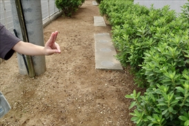 除草・整地後