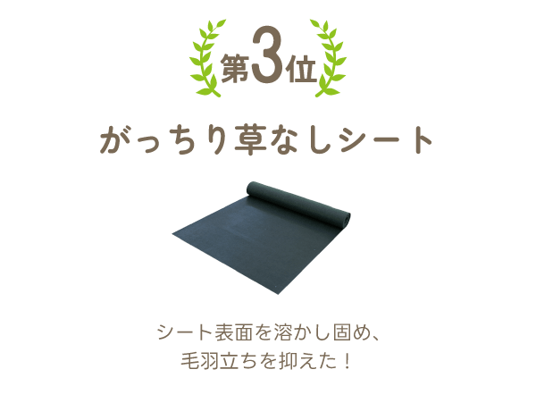 第3位がっちり草なしシート