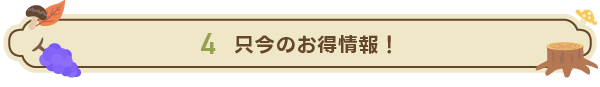 只今のお得情報!