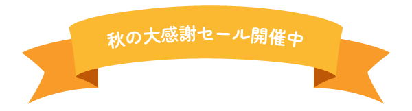 秋の感謝祭セール開催中