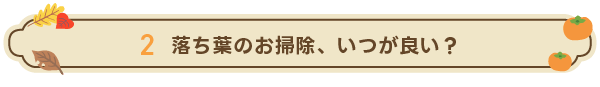 落ち葉のお掃除、いつが良い?