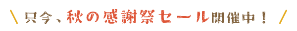 秋の感謝祭セール開催中