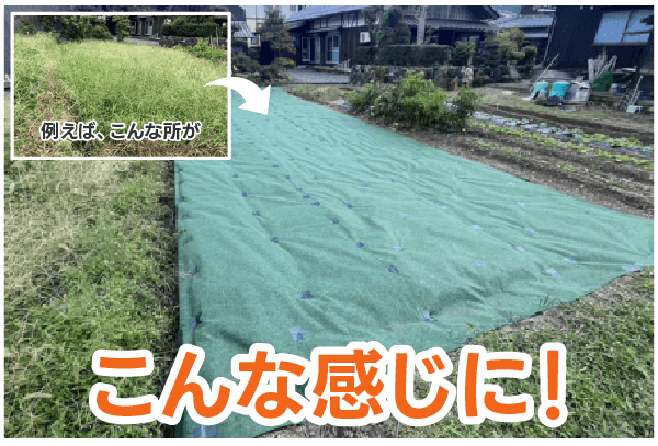例えば