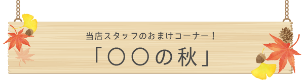 おまけコーナー
