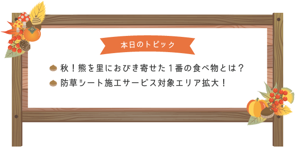 本日のトピック