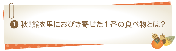 熊を里におびき寄せた1番の食べ物とは