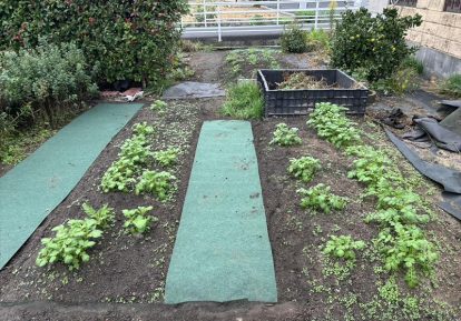 畑の通路の雑草対策｜とことん草なしシートの施工事例