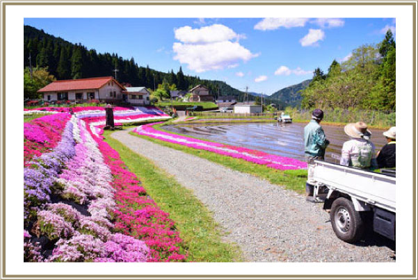 植栽・緑化部門賞グランプリ