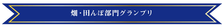 畑・田んぼ部門