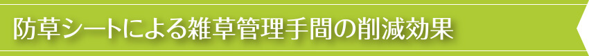 防草シートによる雑草管理の事例