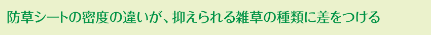 防草シートの密度の違いが、抑えられる雑草の種類に差をつける