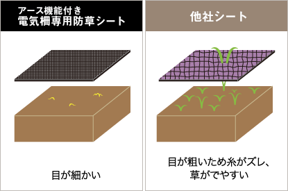 密度が違う