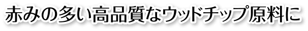 赤みの多い高品質なウッドチップ原料に