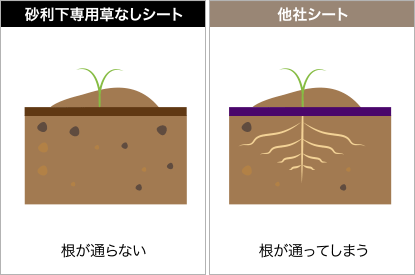 防根効果の違い