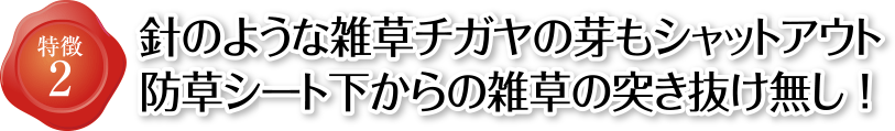 特徴2 針のような雑草チガヤの芽もシャットアウト 防草シート下からの雑草の突き抜け無し!