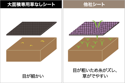 密度が違う