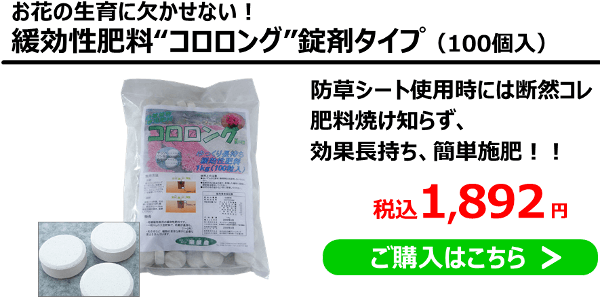 ◆緩効性肥料“コロロング”錠剤タイプ。肥料焼け知らず、効果長持ち、簡単施肥!!＜100個入＞（税込）1,892円