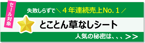 失敗しらずで売上4年連続No.1！『とことん草なしシート』