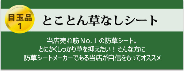 【 目玉品１ 】とことん草なしシート