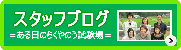 スタッフブログ＊ある日のらくやのう試験場より＊