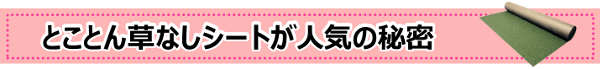 とことん草なしシートが人気の秘密は・・・？