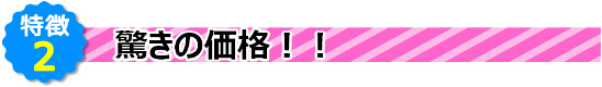 特徴２　驚きの価格!!