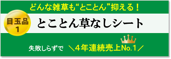 【 目玉１ 】とことん草なしシート