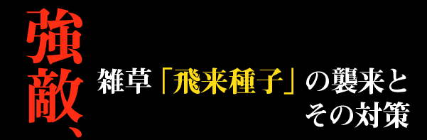 強敵雑草「飛来種子」の襲来とその対策