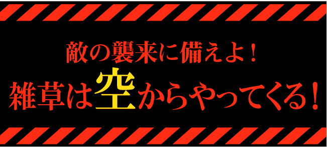 敵の襲来に備えよ！雑草は空からやって来る！