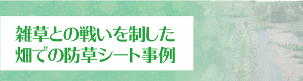 「雑草との戦い」を制した畑の防草シート事例