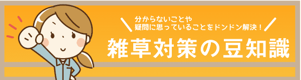 雑草対策の豆知識はこちら