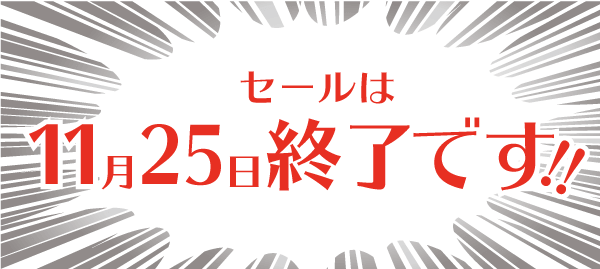 セールは11月25日(水)終了です